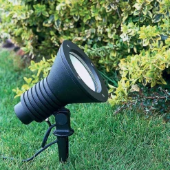 Albert 2183 Spießstrahler