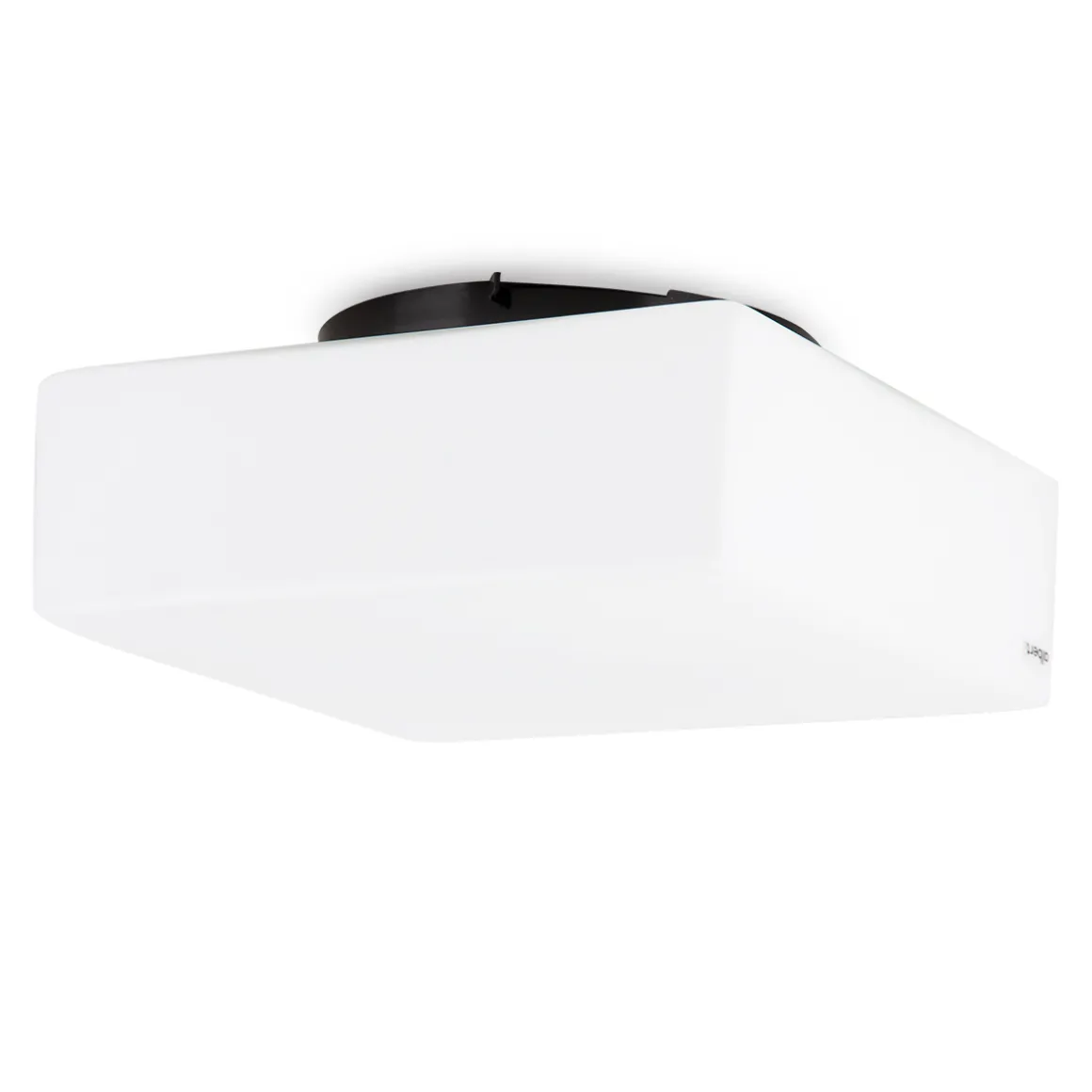 Albert 666099 Wand- / Deckenleuchte