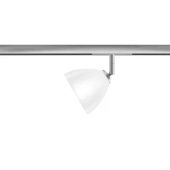 Bruck All-In Silva Spot