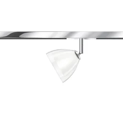 Bruck All-In Silva Spot