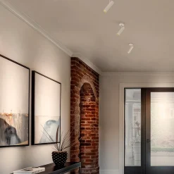 Bruck Swap Spot LV C LED Deckenaufbaustrahler