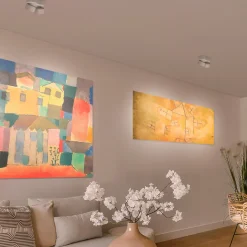 Bruck Vito Duo Spot 50° LV C LED Deckenaufbaustrahler