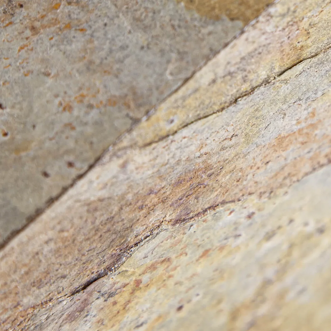 Epstein-Design Würfel Eifel im Herbst RGBCCT-LED Außenleuchte mit ZigBee