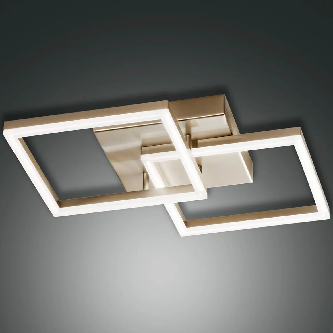 Fabas Luce Bard 3394-22 LED Wand- / Deckenleuchte