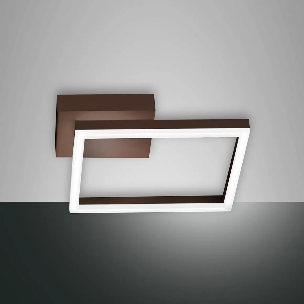 Fabas Luce Bard 3394-21 LED Wand- / Deckenleuchte