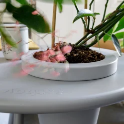 Fatboy Bakkes Beistelltisch mit Blumentopf