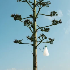 Flos Outdoor Mayday Outdoor Allzweckleuchte