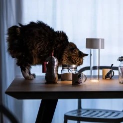 Foscarini Fleur LED Tavolo Akkuleuchte & Vase