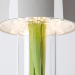 Foscarini Fleur LED Tavolo Akkuleuchte & Vase