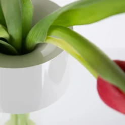 Foscarini Fleur LED Tavolo Akkuleuchte & Vase