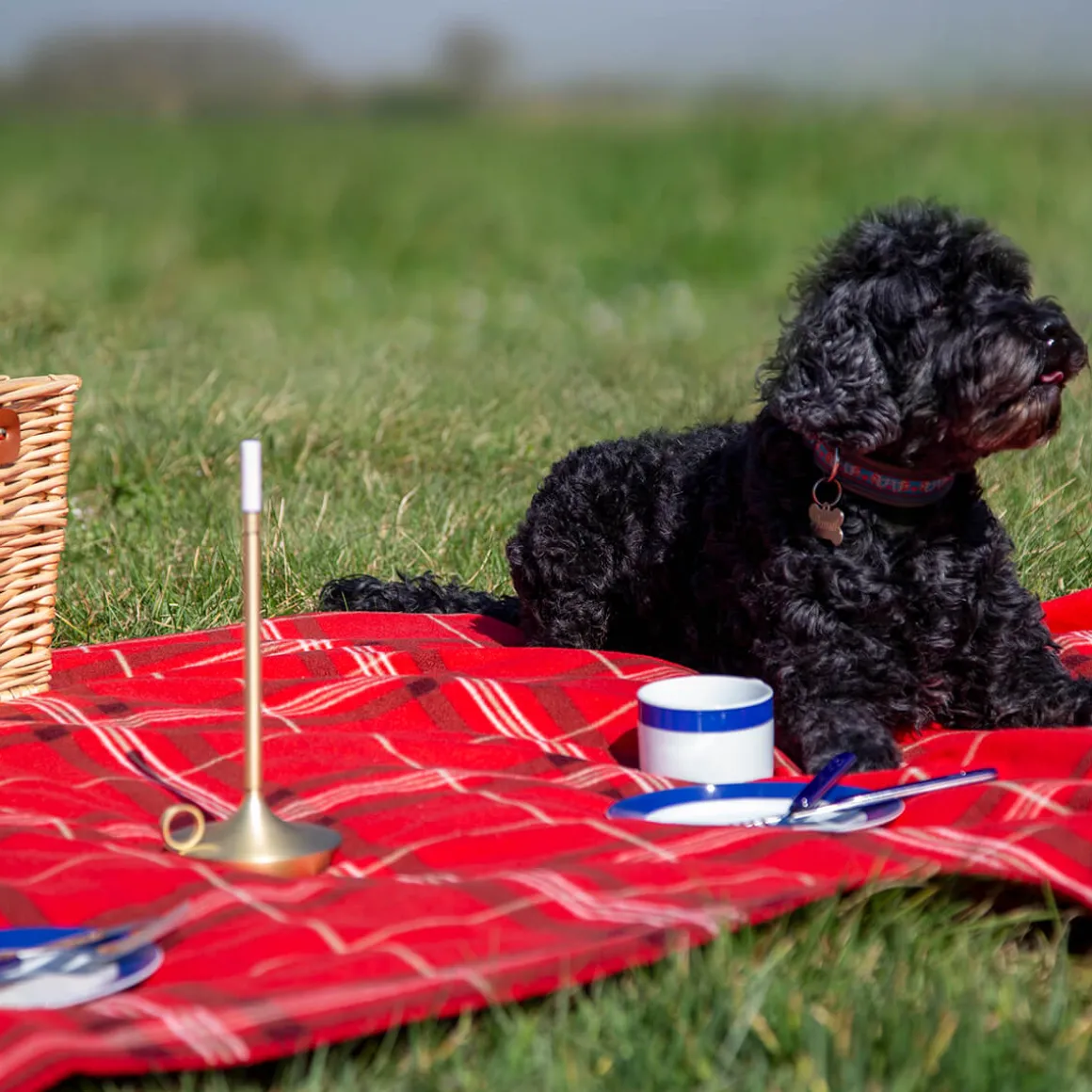 Graypants Wick LED Akkuleuchte, 3er Set