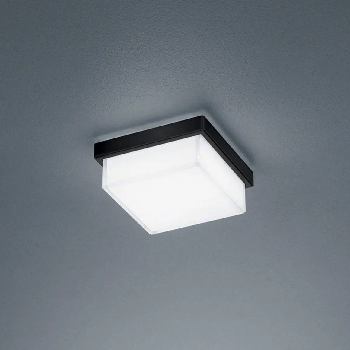 Helestra Cosi LED Wand- / Deckenleuchte
