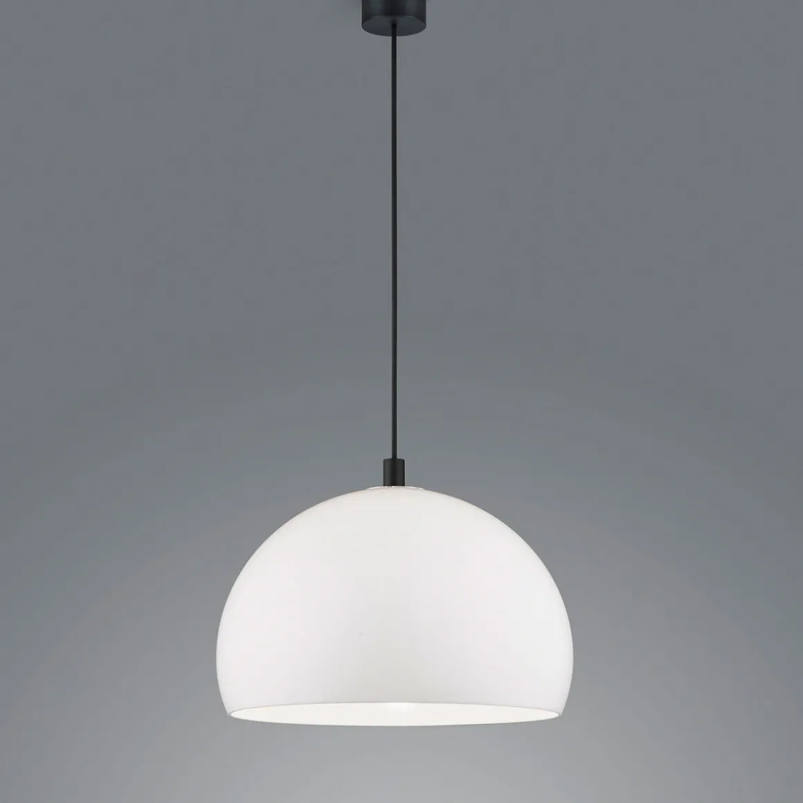 Helestra Doro Pendelleuchte