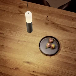 Helestra Lidos LED Pendelleuchte