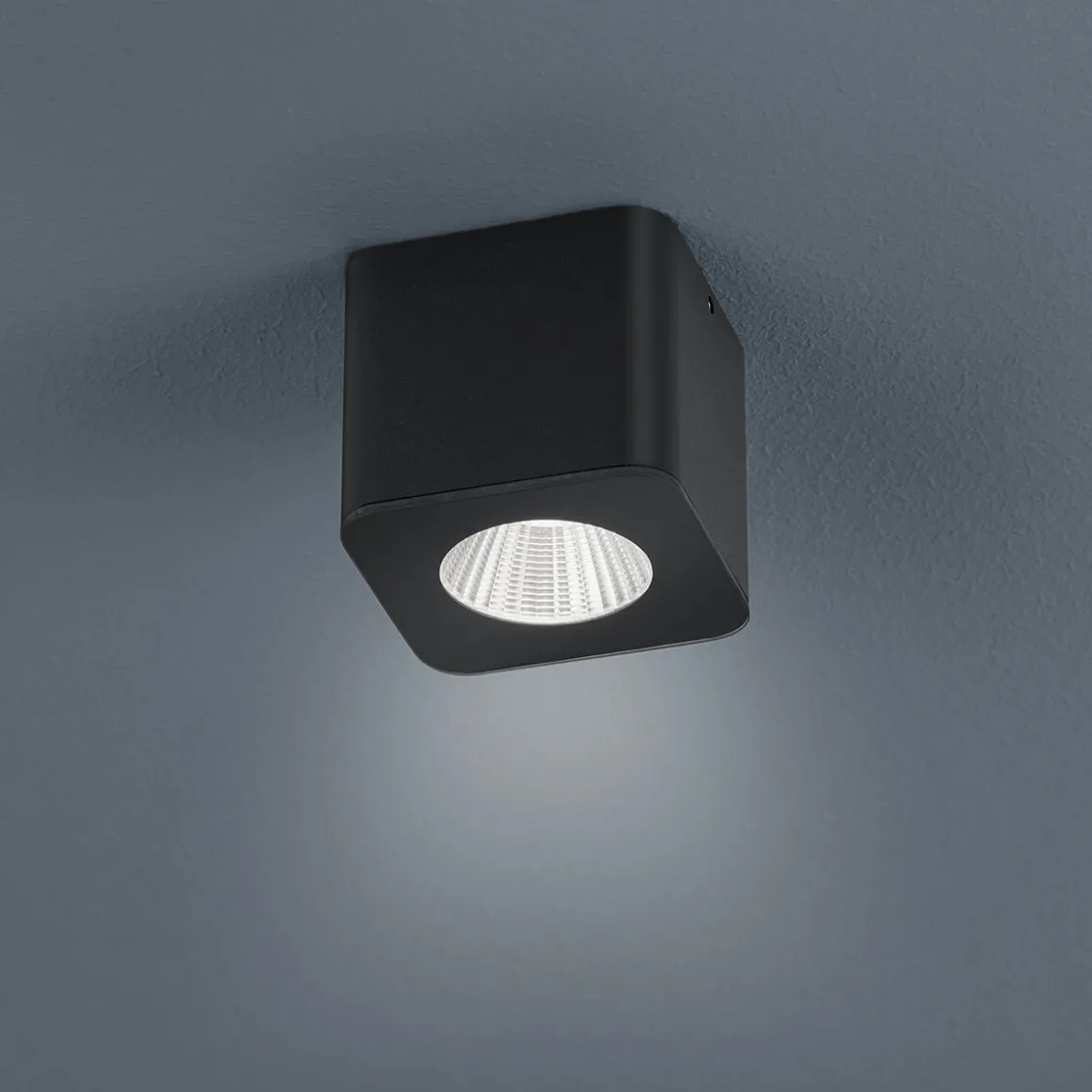 Helestra Oso LED Deckenstrahler, eckig