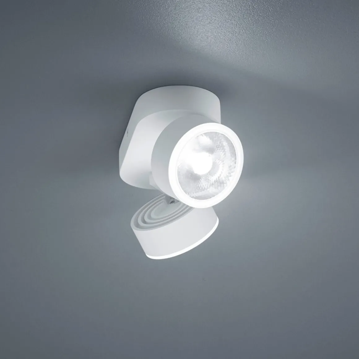 Helestra Pax LED Deckenstrahler