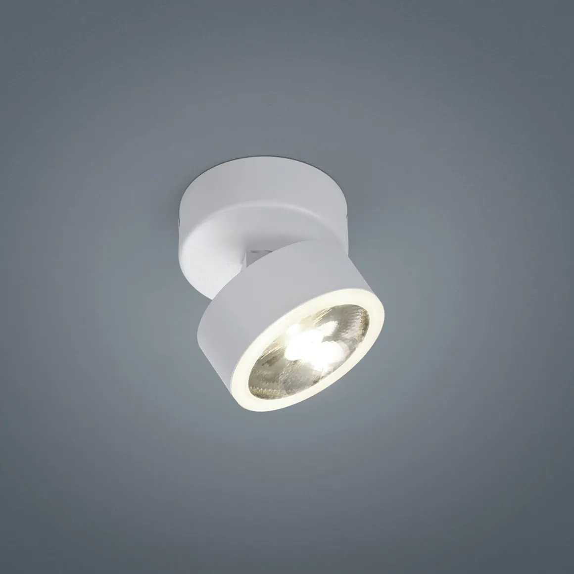 Helestra Pax LED Deckenstrahler