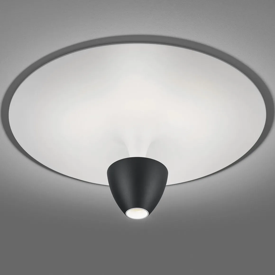 Helestra Redo LED Deckenleuchte