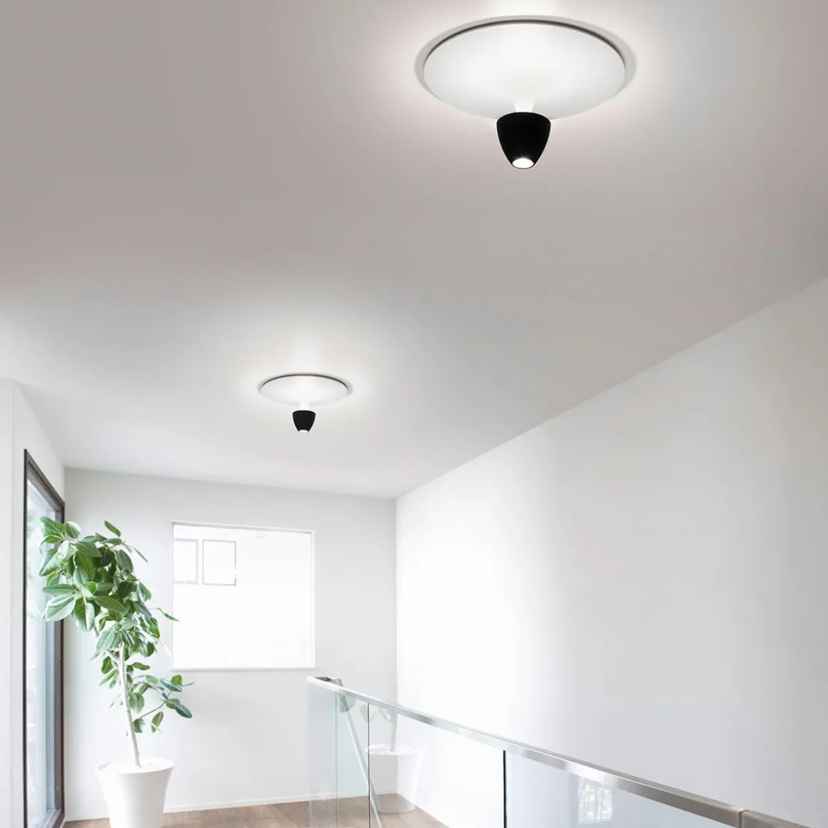 Helestra Redo LED Deckenleuchte