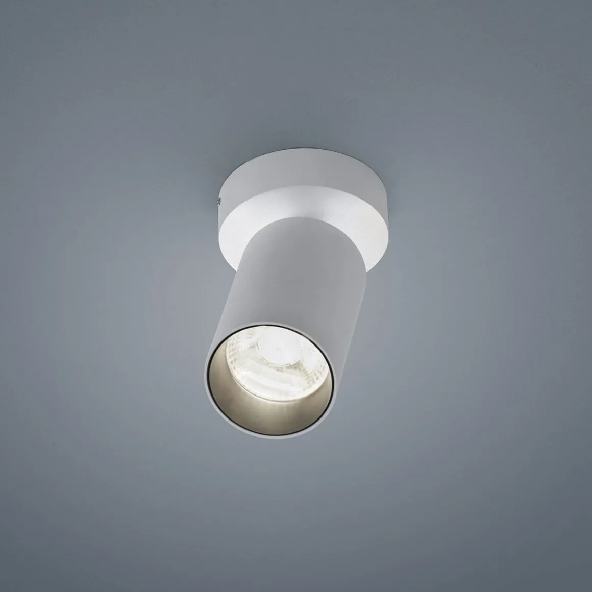 Helestra Riwa LED Deckenleuchte, 1-flg.