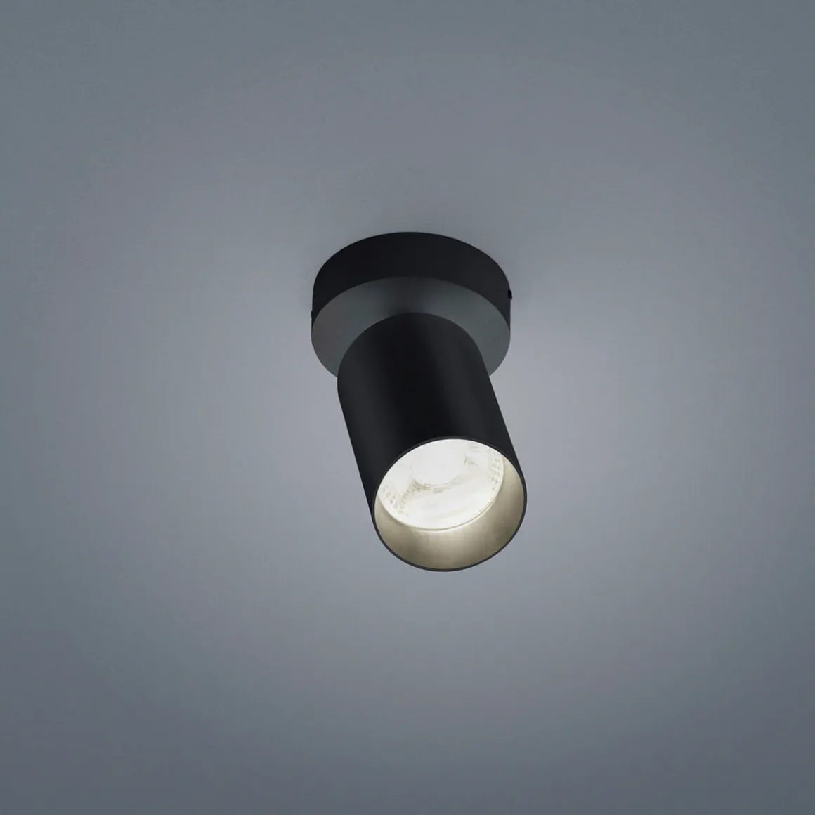 Helestra Riwa LED Deckenleuchte, 1-flg.