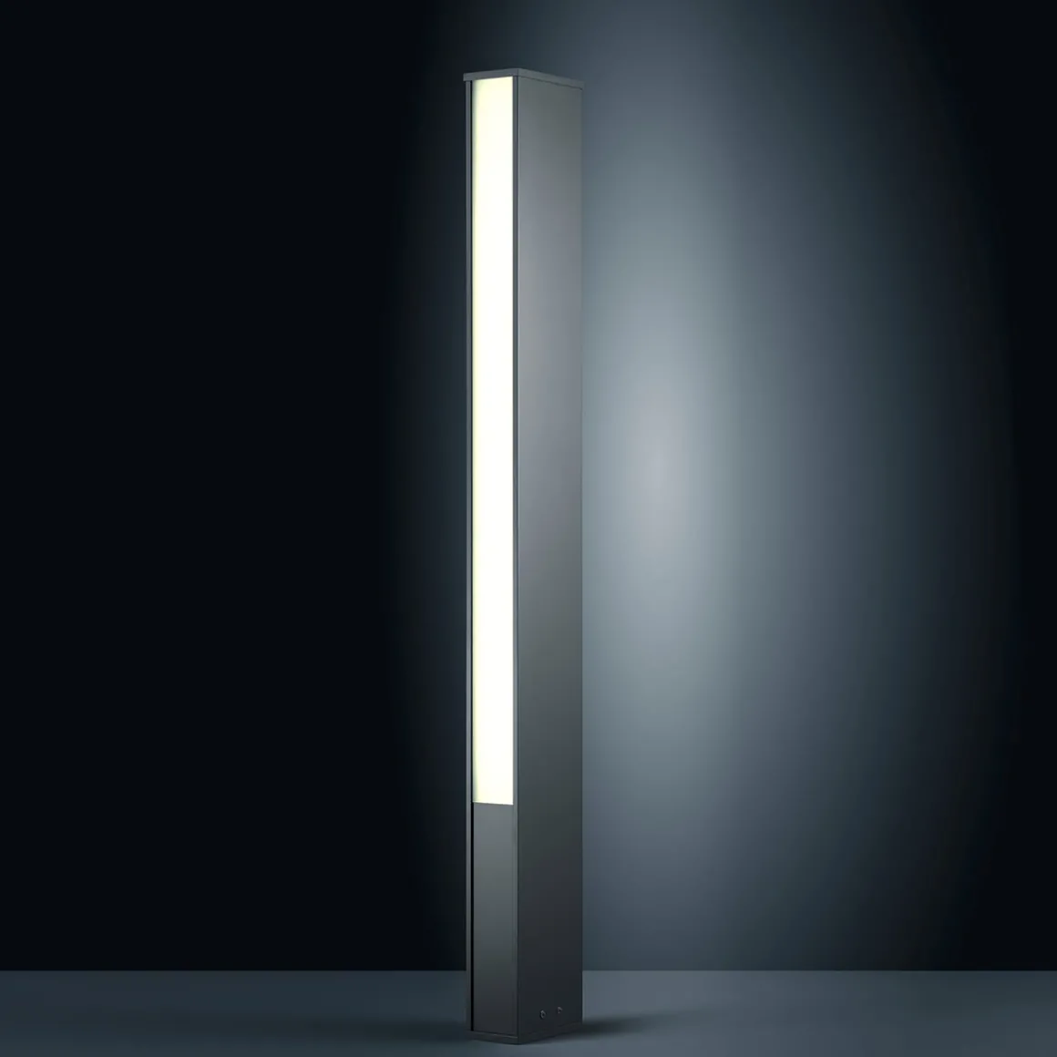 Helestra Tendo LED Pollerleuchte, Höhe: 125 cm