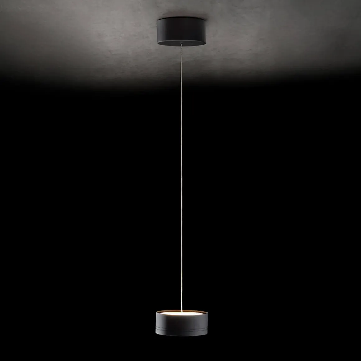 Holtkötter Leuchten Favor LED Pendelleuchte