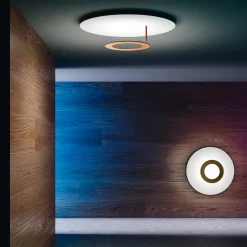 Icone Vera 50 LED Wand- / Deckenleuchte