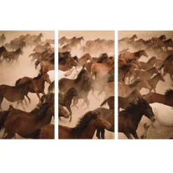 ImageLand Glasbild Digitaldruck Wildpferde II, 3er-Set, 120 x 180 cm