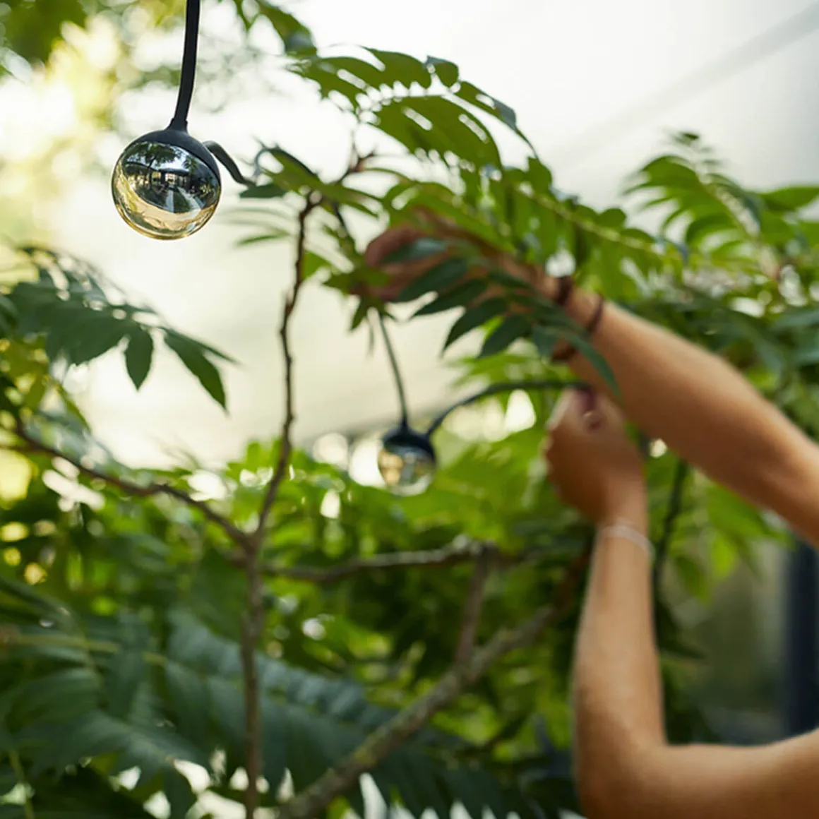 IP44.DE Cherry bubbls plug LED Lichterkette