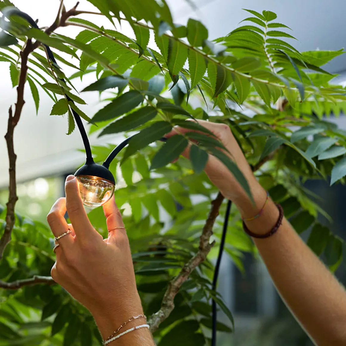 IP44.DE Cherry bubbls plug LED Lichterkette