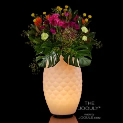 Joouls The Joouly Ltd. LED Akkuleuchte, Bluetooth Lautsprecher & Weinkühler