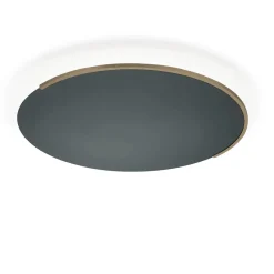 Knapstein Astra-60 LED Wand- / Deckenleuchte