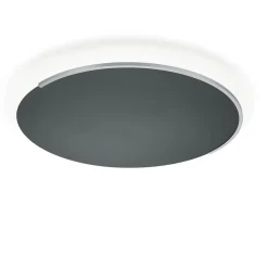 Knapstein Astra-60 LED Wand- / Deckenleuchte