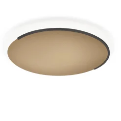 Knapstein Astra-C-60 LED Wand- / Deckenleuchte, mit Casambi