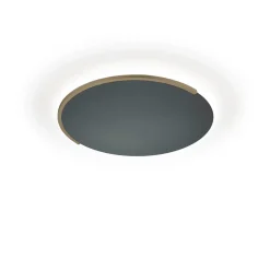 Knapstein Astra-C-40 LED Wand- / Deckenleuchte, mit Casambi