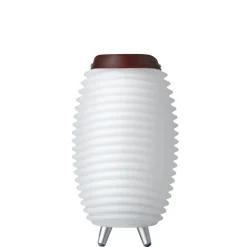 Kooduu 2er Set Synergy 2.0 LED Akkuleuchte, Bluetooth Lautsprecher & Weinkühler