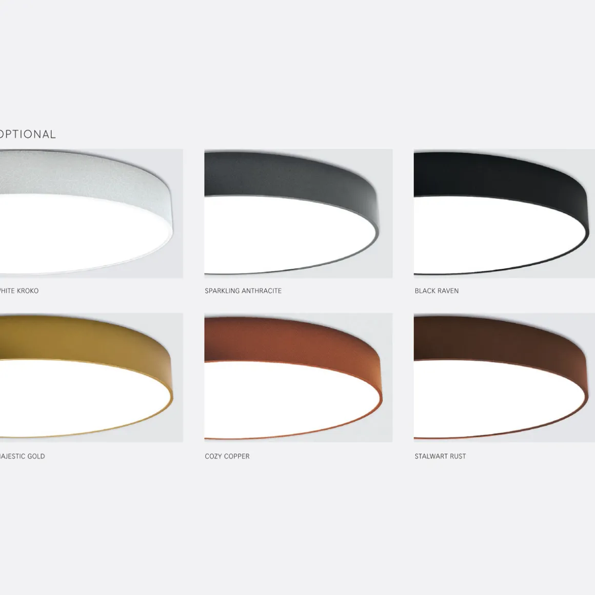 Lightnet Basic-P1 Pendelleuchte