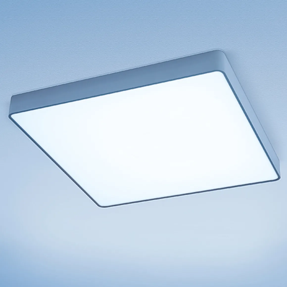 Lightnet Caleo-A2 Wand- / Deckenleuchte, Mikroprismatik