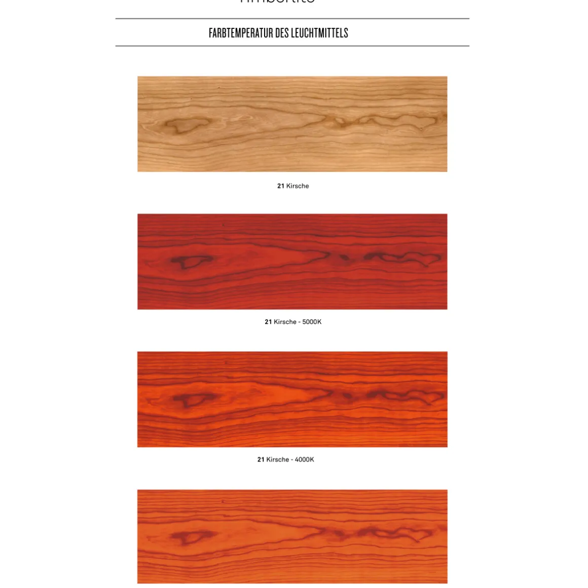 LZF Lamps Gea Large Pendelleuchte