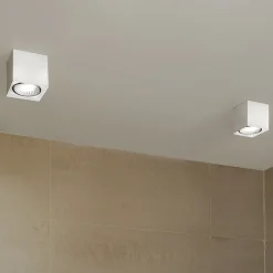 Milan Dau Spot Deckenstrahler