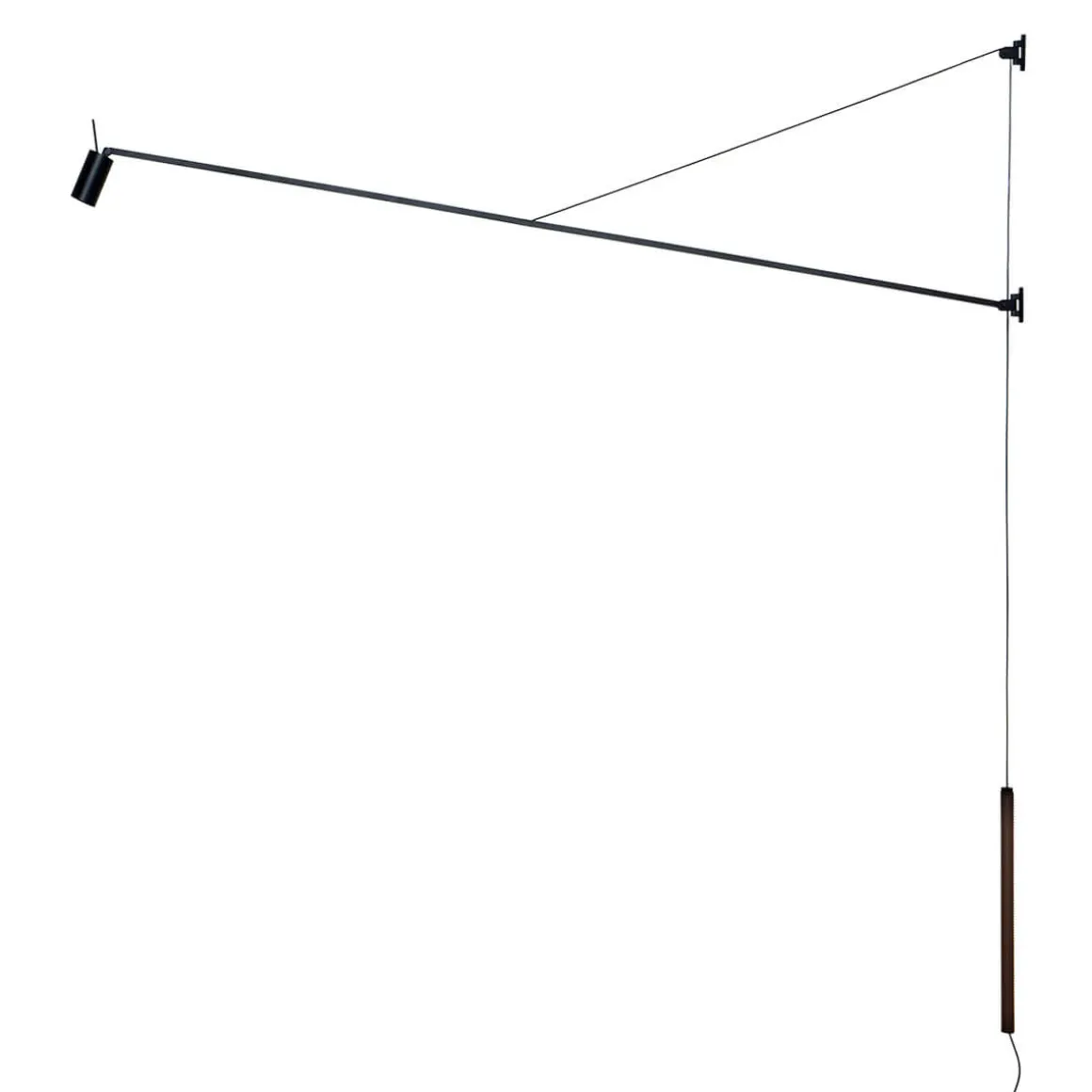 Nemo Swan LED Parete