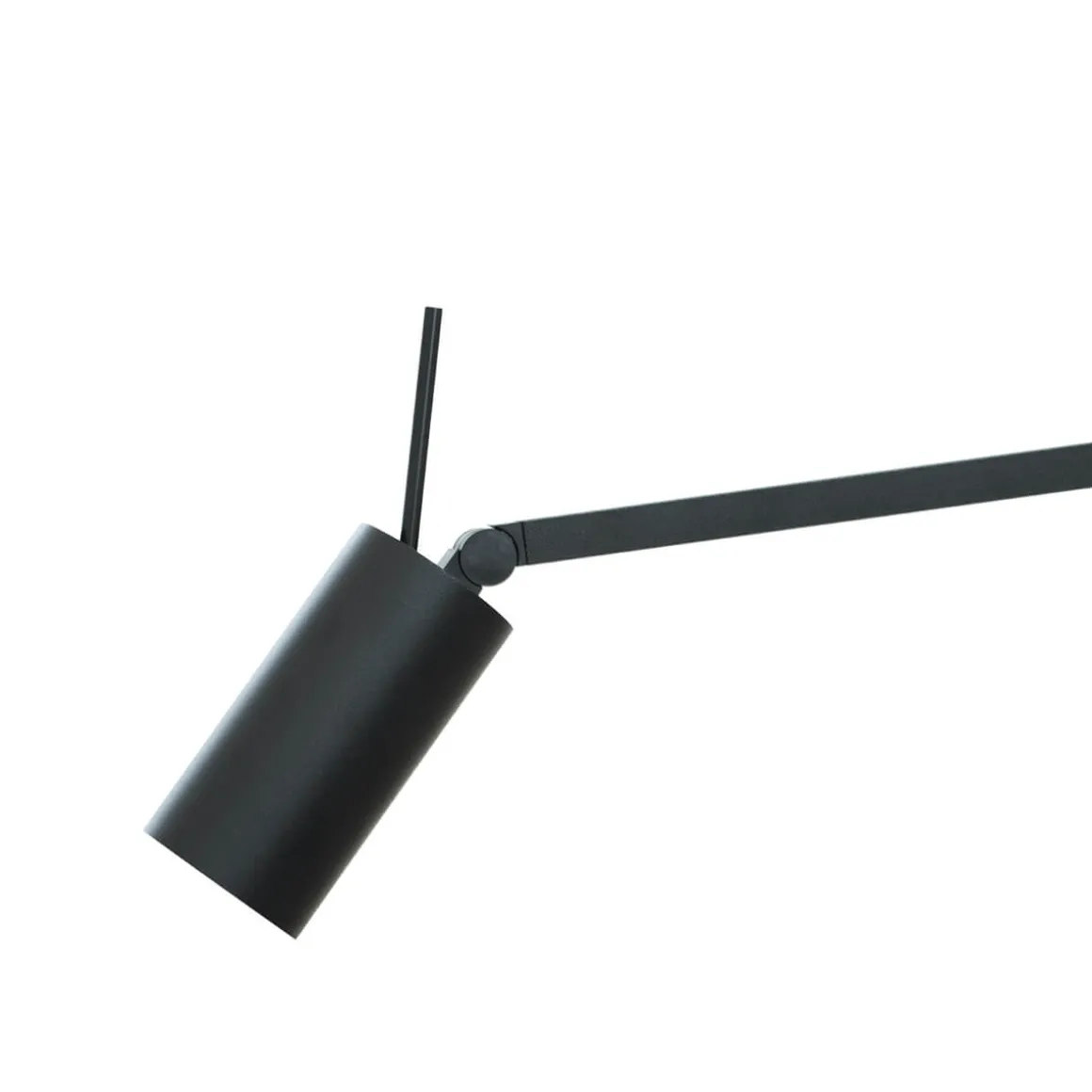 Nemo Swan LED Parete