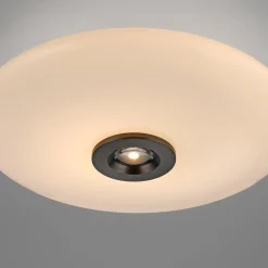 Neuhaus PURE by Paul Neuhaus PURE Vitrum LED Deckenleuchte