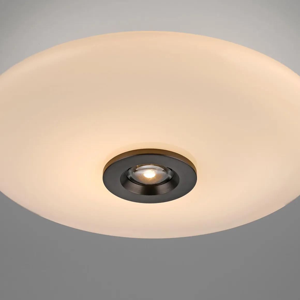 Neuhaus PURE by Paul Neuhaus PURE Vitrum LED Deckenleuchte