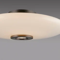 Neuhaus PURE by Paul Neuhaus PURE Vitrum LED Deckenleuchte