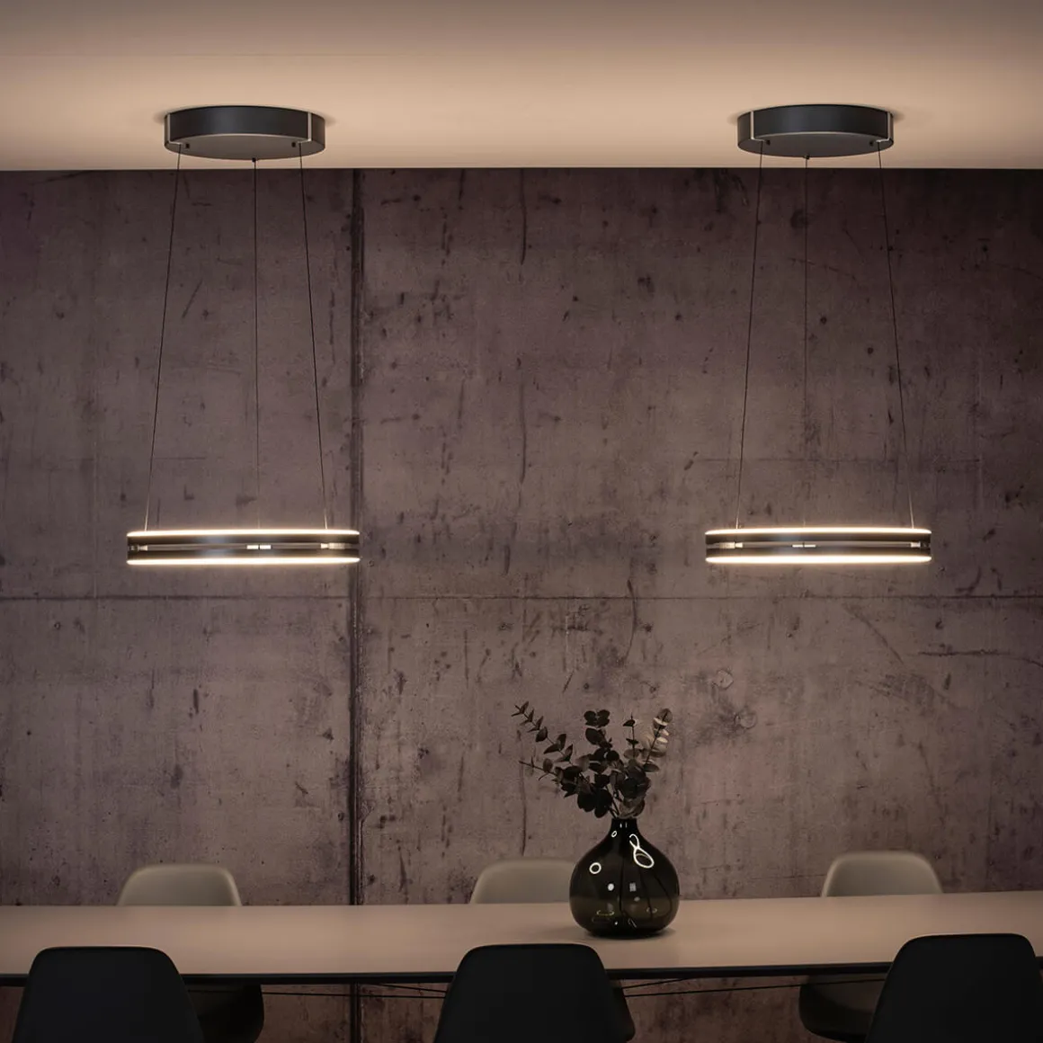 Neuhaus PURE by Paul Neuhaus PURE E-Loop LED Pendelleuchte mit e-LIFT und CCT