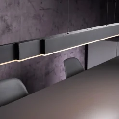 Neuhaus PURE by Paul Neuhaus PURE Moto-Rise LED Pendelleuchte mit e-SLIDE, e-LIFT und CCT