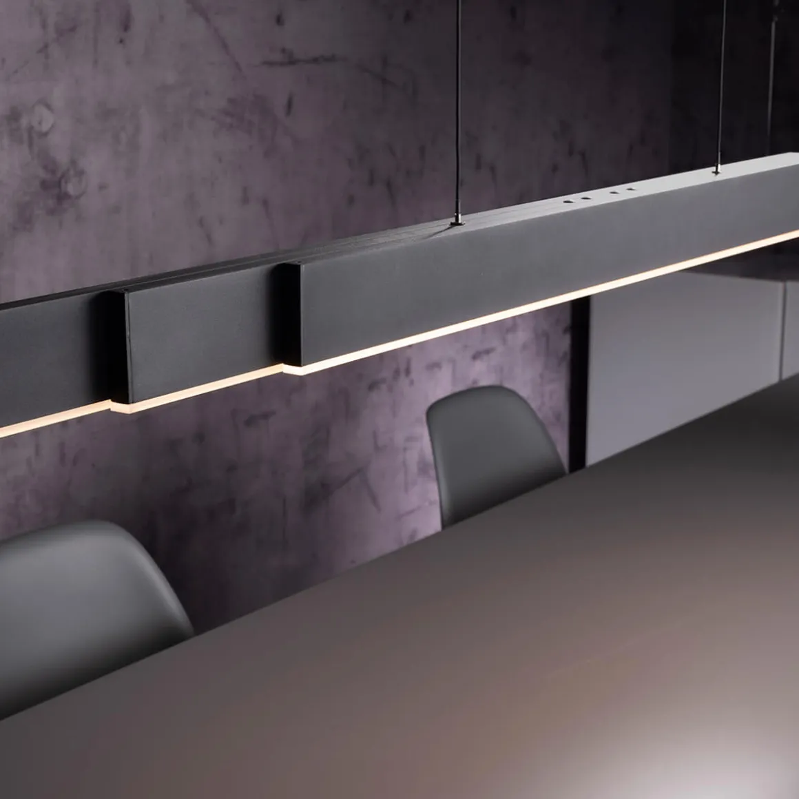 Neuhaus PURE by Paul Neuhaus PURE Moto-Rise LED Pendelleuchte mit e-SLIDE, e-LIFT und CCT