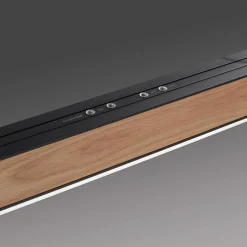 Neuhaus PURE by Paul Neuhaus PURE Moto-Rise LED Pendelleuchte mit e-SLIDE, e-LIFT und CCT